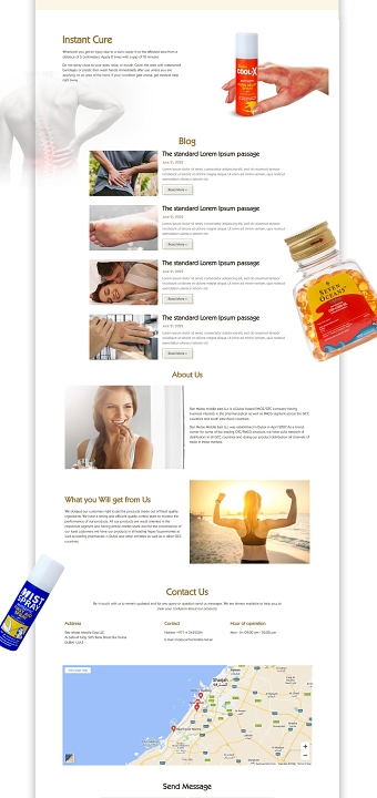 Star Midas Brochure Website Design & Development