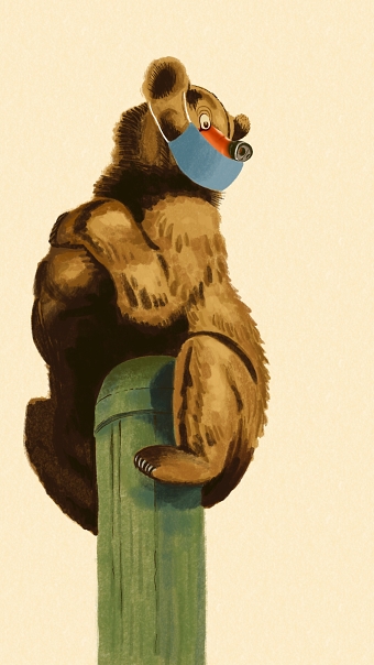 Bear