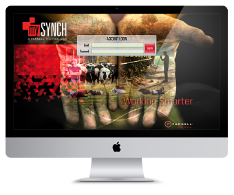 Website Design
