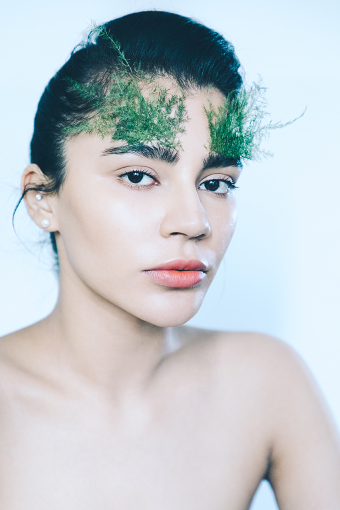 Mob Journal Vol 5 - Fern Flower