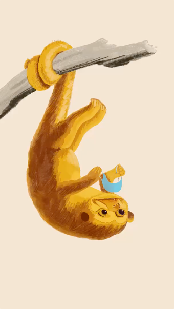 Monkey