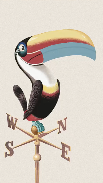 Toucan