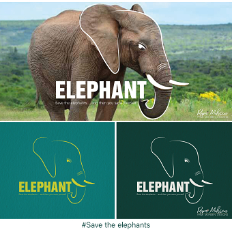 Elephant logo Concept