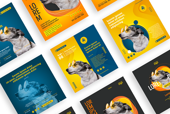 Social media posts template designs