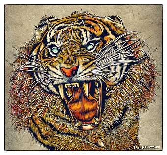 Tiger - Lineart Illustration