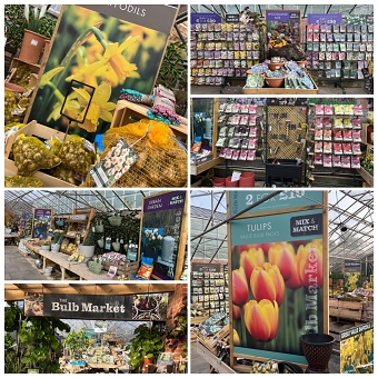 The bulb market POS