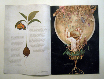 Illustration for italian editor magazine