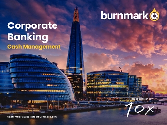 Burnmark Report
