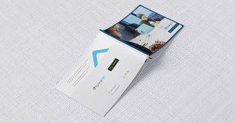 SynergERP Corporate Identity Design