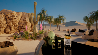 Desert Shots