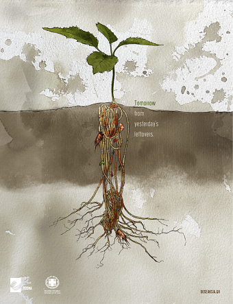Roots