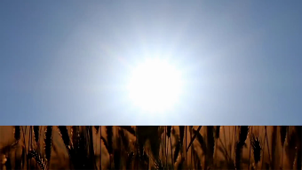 Corona French TVC
