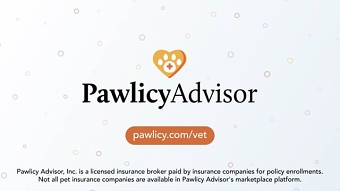 Pawlicy Advisor Social Video