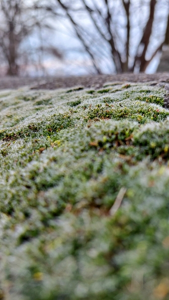 Nature4