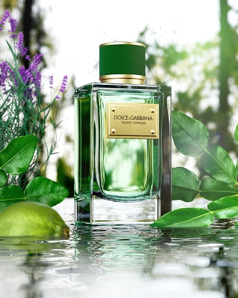 Velvet Cypress fragrance visualisation