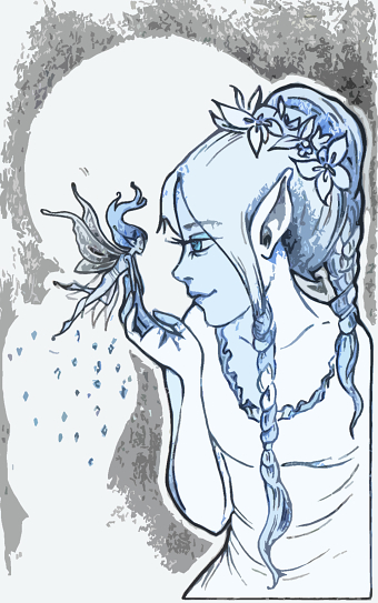 Elf & Fairy