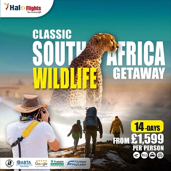 South Africa Wildlife Champaign