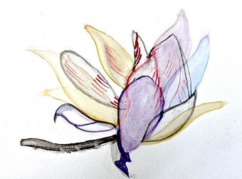 Transparent Flower (Charan Malhi)