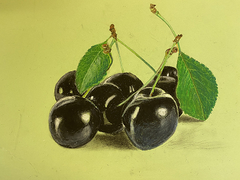 Cherries (Kinuyo Ogino)