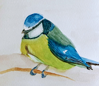 Birds (Anita Shah)