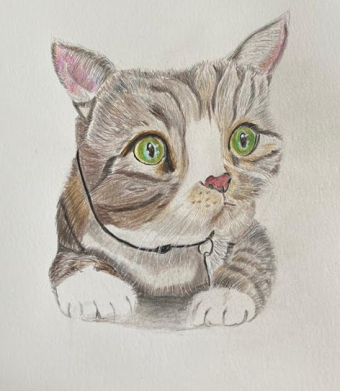 Cat ( Caroline Armitage)