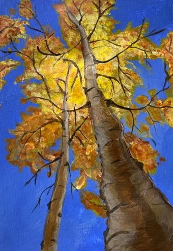 Trees (Caroline Armitage)