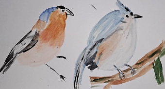 Birds ( Razia Antria)