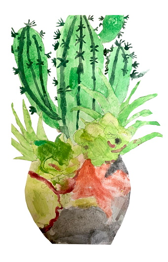Cactus (Jake Whiddon)