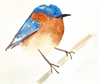 Bird (Manjit Sidhu)