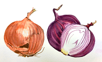 Onions (Caroline Armitage)