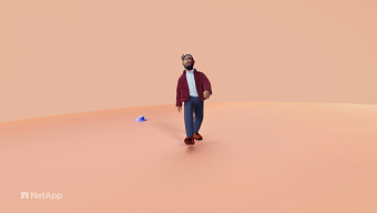 Netapp - Vibes