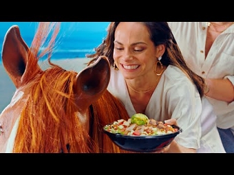 Beach Horse