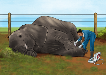 Grade 7 Illustrations