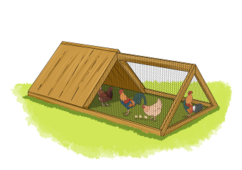 Agriculture Grade 8 Illustrations