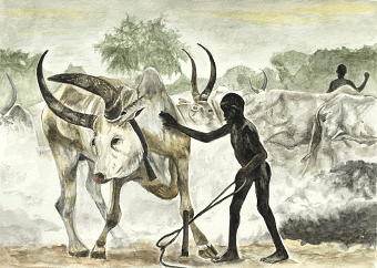 Bull (Kinuyo Ogino)
