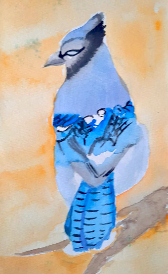 Blue bird (Anita Shah)