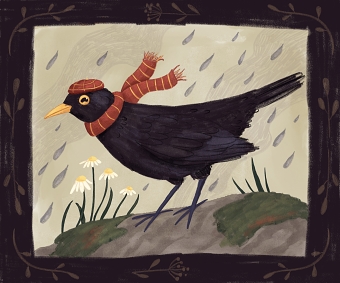 Blackbird - Mierlă Illustration