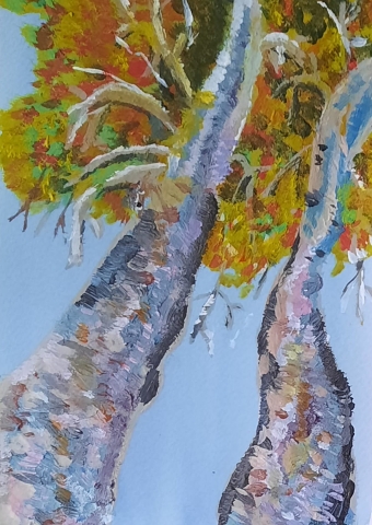 Trees ( Anita Shah)