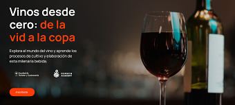 Vinos Desde Cero: de la vid a la copa. Curso Online.