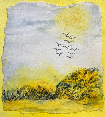 Layered landscape (Ray Muna)