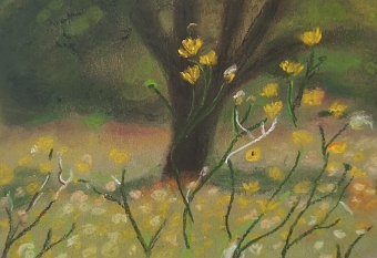 Layered landscape (Anita Shah)