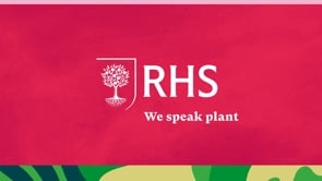 We Speak Plant