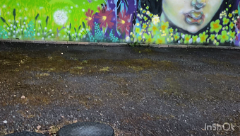 Shoreside mural