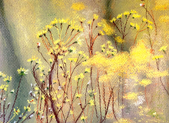 Soft pastel collection ( Satomi McHale)