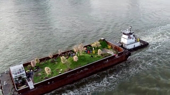 Strongbow - The Floating Orchard