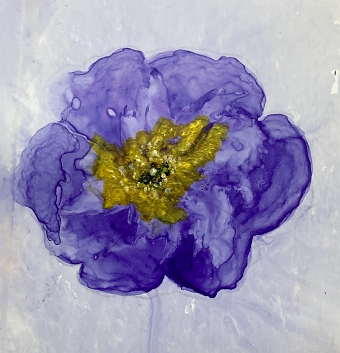 Blossom Project (Ray Muna)