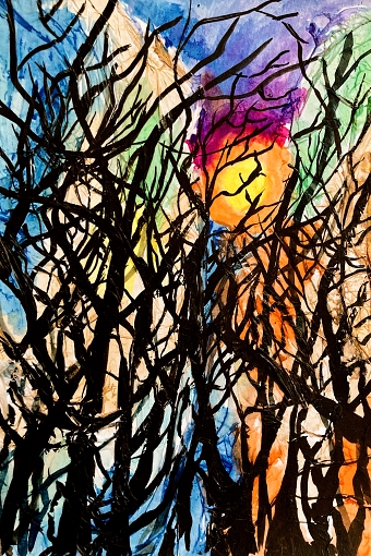 Wood at sunset