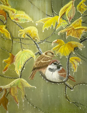 Rainy Day (Satomi McHale)