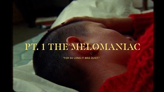 Vestiges - Pt. 1 The Melomaniac