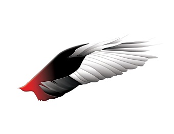 Flight Logo Design